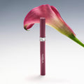 STILL_PROUD-MAUVE_1
